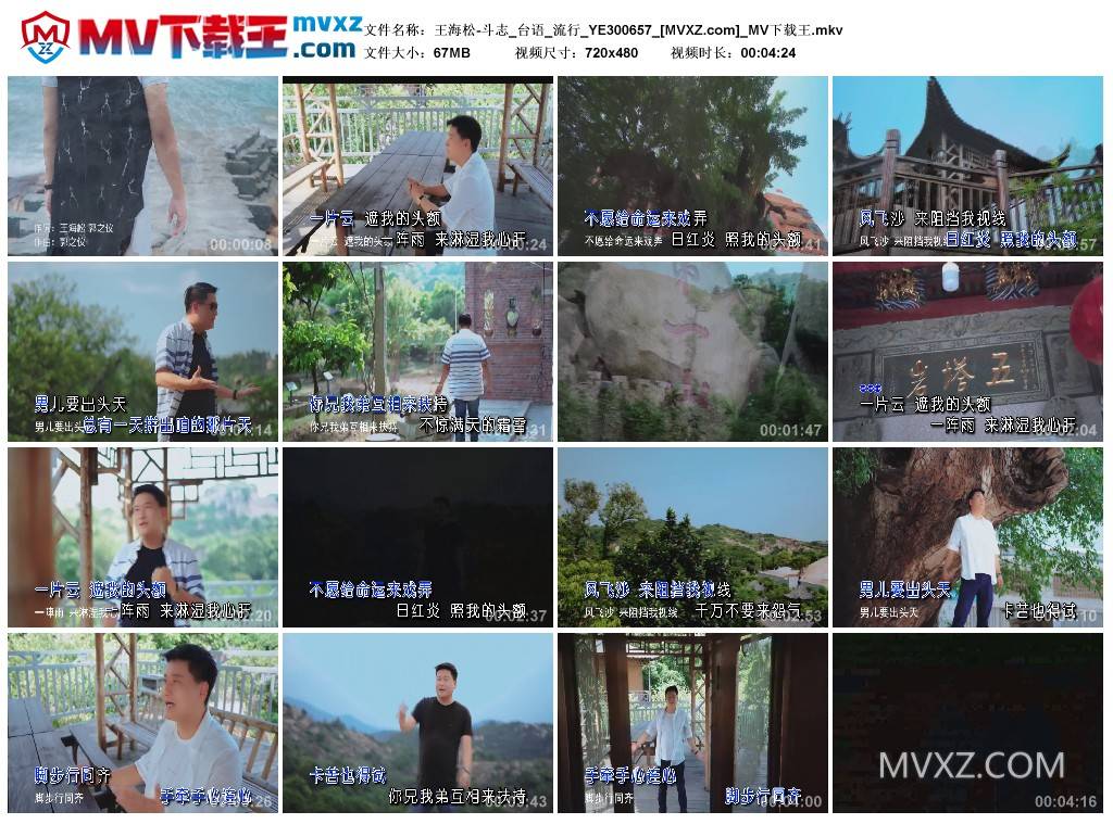 王海松-斗志_台语_流行_YE300657